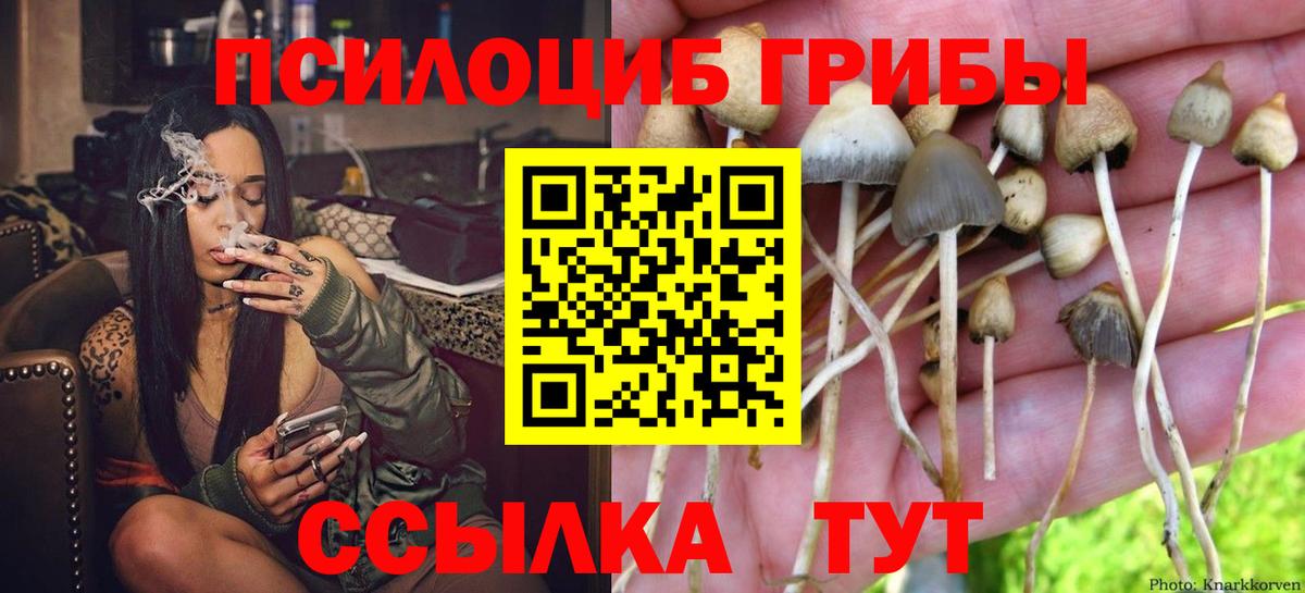 Мелеуз  Галлюциногенные грибы MAGIC MUSHROOMS  Псилоцибиновые грибы Psilocybine cubensis  цена   Вход с VPN 